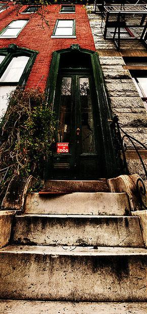 Steps, door, and windows