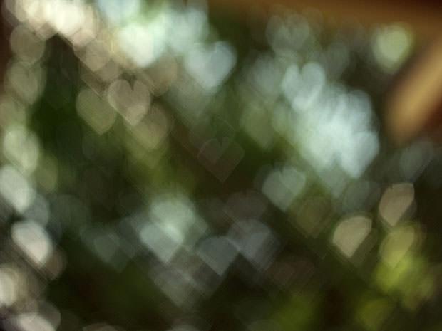 Heart bokeh of light through trees