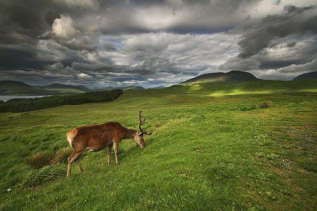 Wide angle landscape